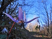 Alla Madonnina del Costone con Corna Bianca e con tanti fiori da Salmezza-3apr23 - FOTOGALLERY